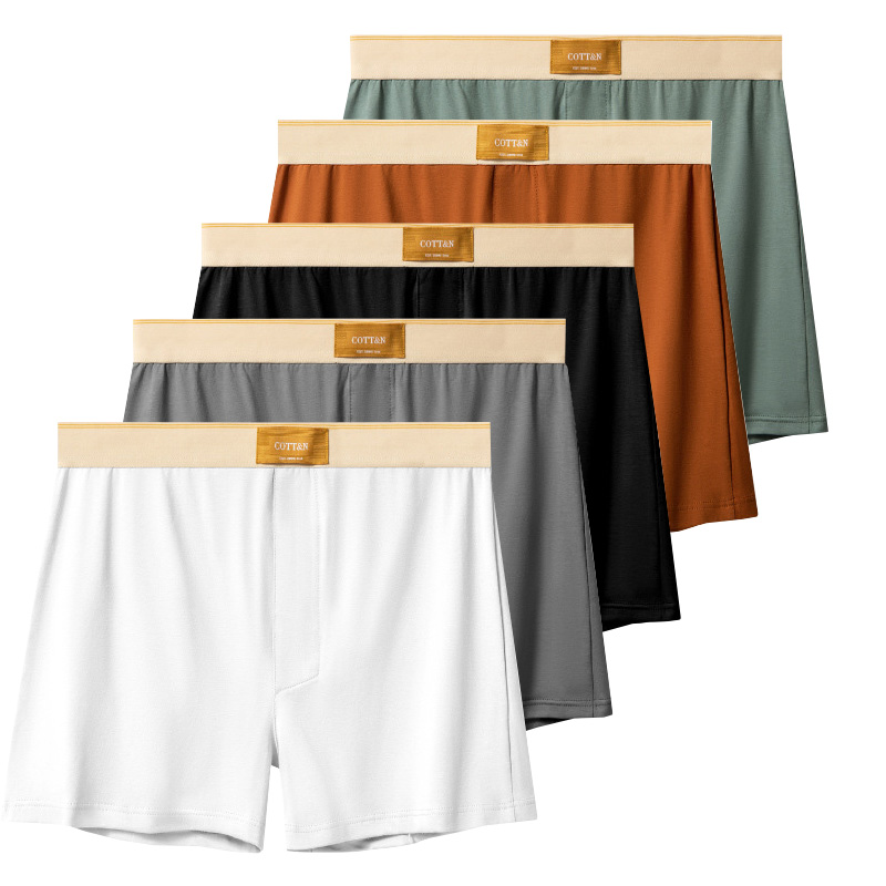 Boxer Brief Pack Cotton - 4 قطعة السهم الذكور السراويل الرجال