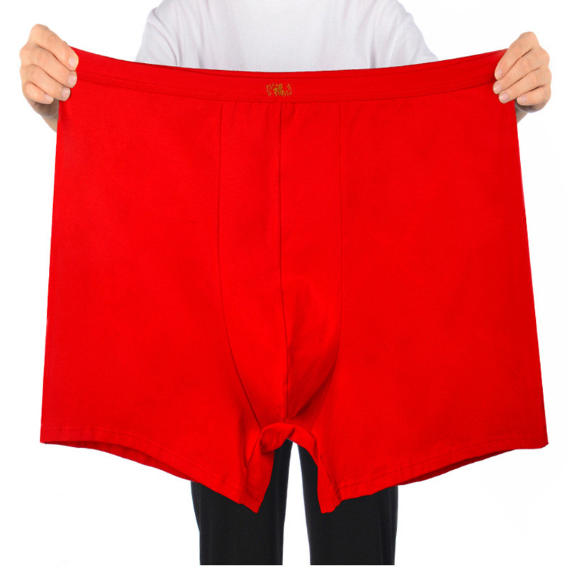 شورت بوكسر من القطن الخالص للر - مراجعة Boxer Brief Pack Cotton وسعره